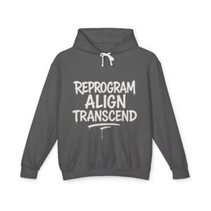 Reprogram Align Transcend Hoodie — Spiritual Mindset Graphic Hoodie